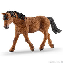 Bashkir Curly Mare