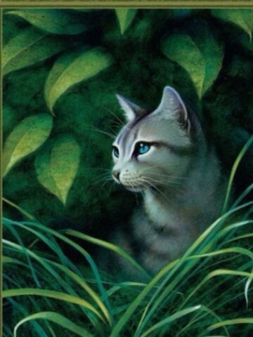 File:Ivypool.jpg