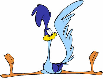 Roadrunner2