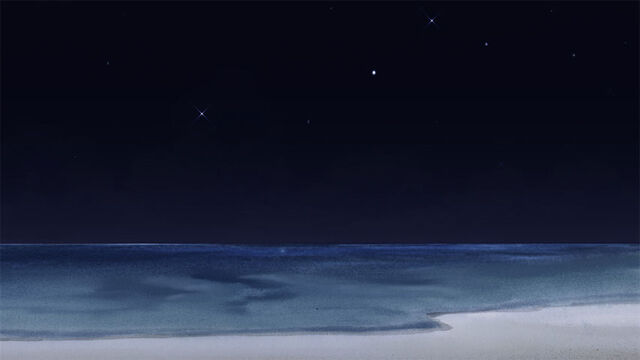 Файл:Beachn.jpg