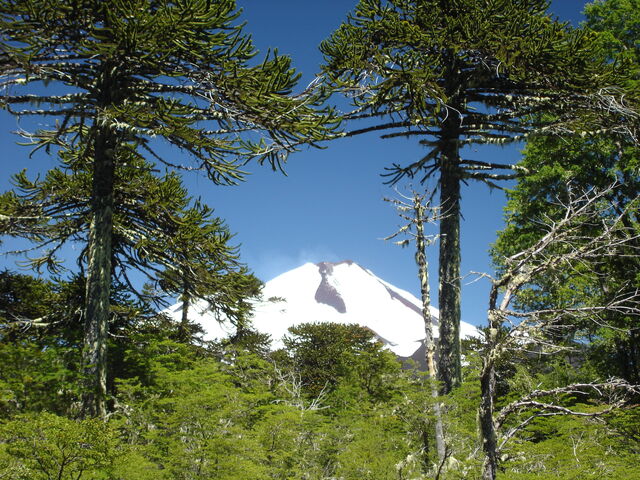 File:Environment 01.jpg