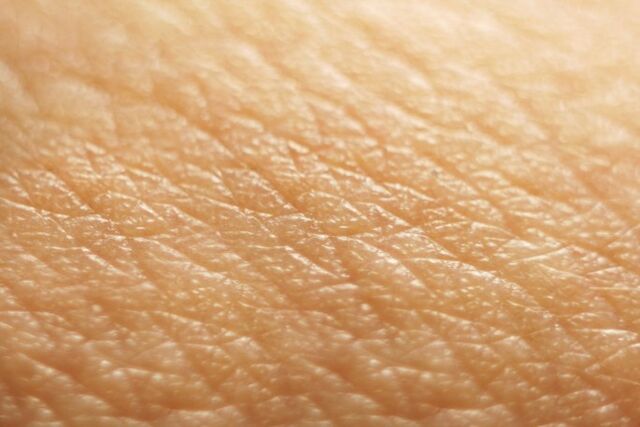File:Human Skin.jpg