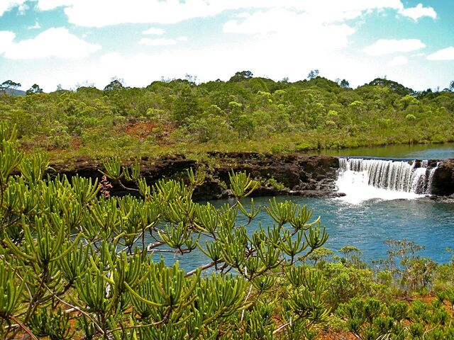 File:New Caledonia (New Blood).jpg