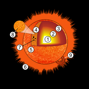 300px-Sun diagram.svg