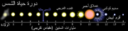 600px-Solar Life Cycle ar