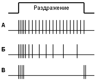 Fig 05 3