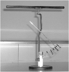 ElectroscopeSimple