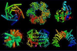Proteins-02-goog.jpg