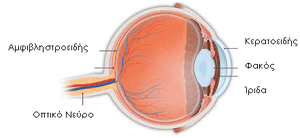 Eye-04-goog.gif