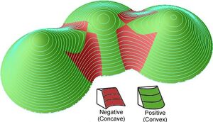 Curvature-04-goog.jpg