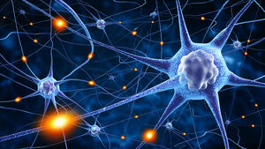 Brain-Neurons-01-goog.jpg