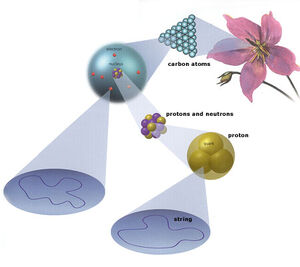 String-Theory-Cosmus-01-goog.jpg