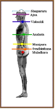 Chakras-02-wik.jpg