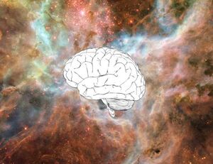 Brain-Boltzmann-01-goog.jpg