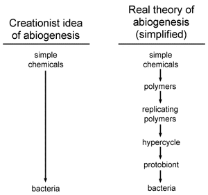 Abiogenesis-02-goog.gif