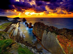Nature-20-goog.jpg