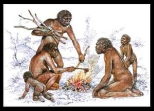 Homo-Erectus-01-goog.jpg