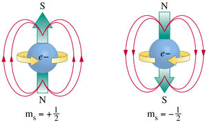 Spin-Electron-03-goog.jpg