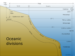 Oceanic-Divisions-goog