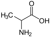 AminocidsAlanine03-wik.png