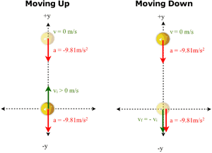Motion-Straightline-FreeFall-01-goog.gif