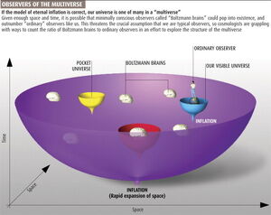 Brain-Boltzmann-05-goog.jpg