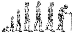 Human-Life-01-goog.jpg