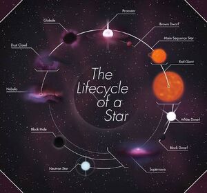 Star-Lifecycle-goog.jpg