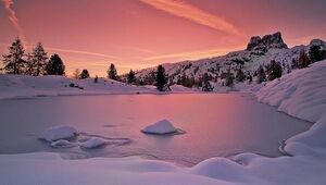 Nature-12-goog.jpg