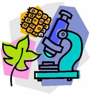 Biology-01-goog.jpg