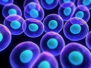 Cells-01-goog.jpg
