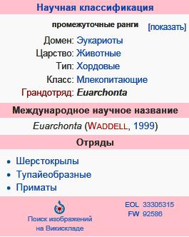 Euarchonta 1
