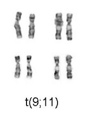 9;11.rhyax