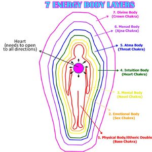 Body-Layers-01-goog