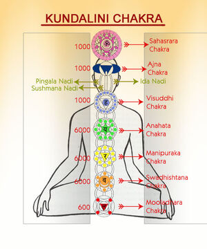 Kundalini-03-goog.jpg