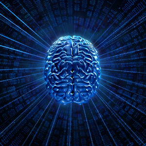 Brain-Boltzmann-03-goog.jpg