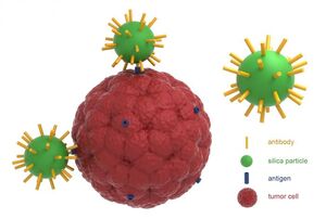 Cell-Tumor-01-goog.jpg