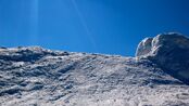 Pallas-picture-1-7754