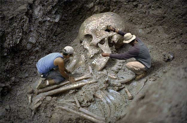 File:Giant Skeleton 4.png