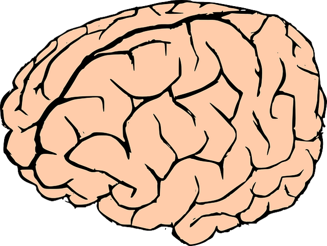 File:Wikia-Visualization-Add-1.png