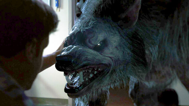 File:Battledogs Werewolf.jpg