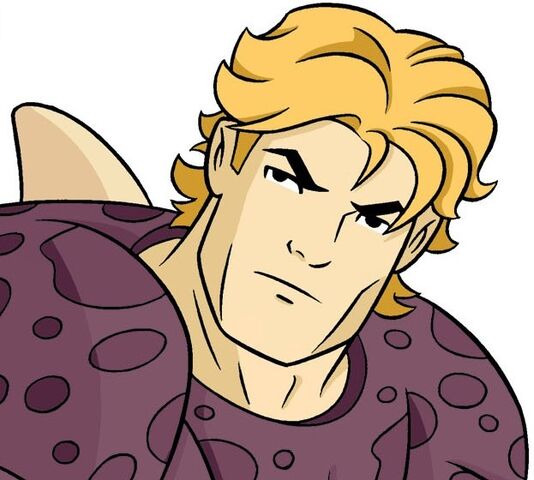 File:Flash Panne.jpg