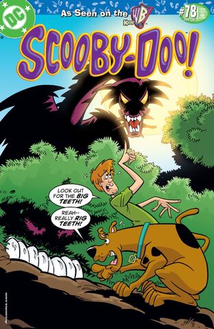 File:Issue 078.jpg