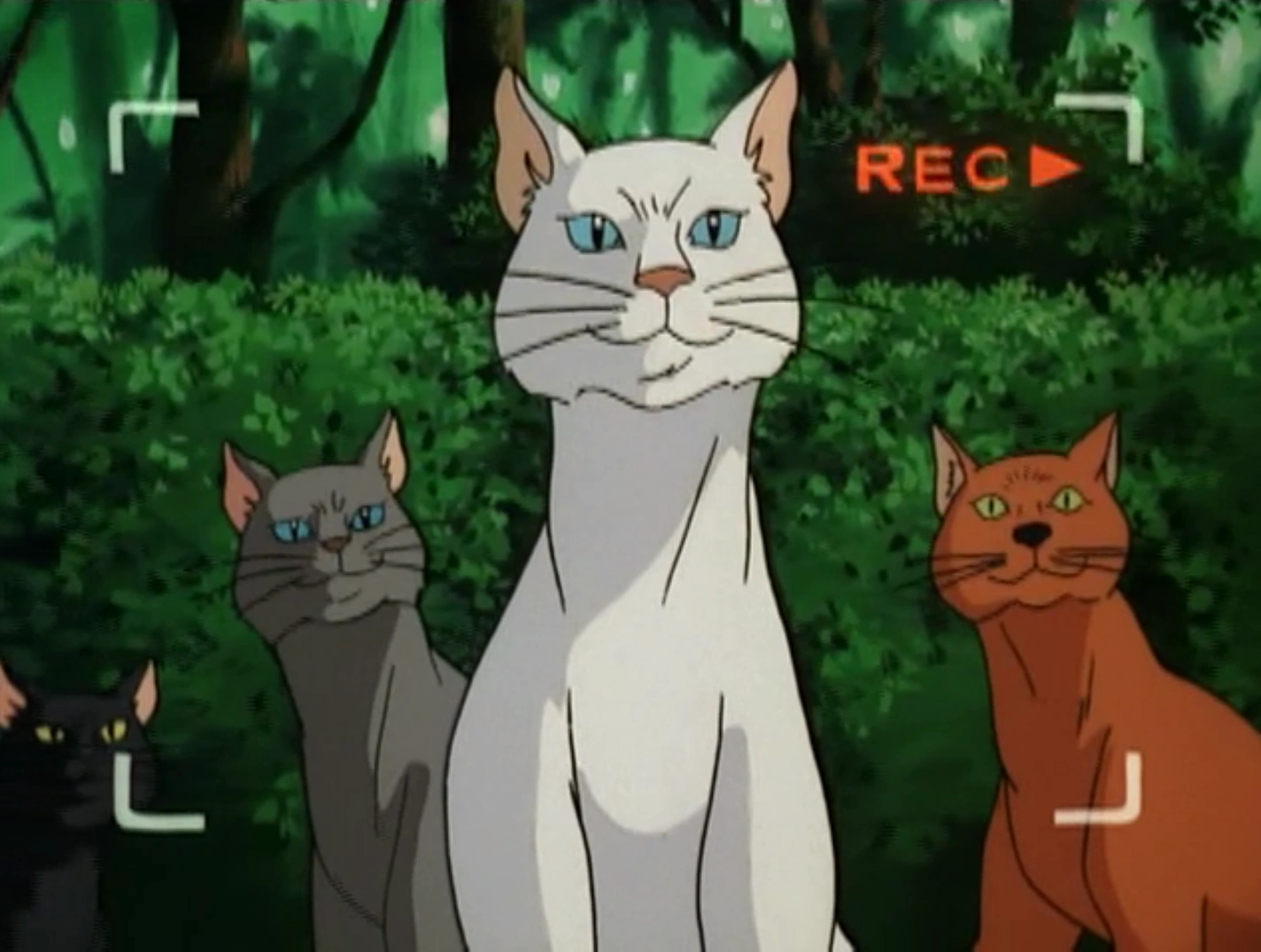 Simone Lenoir's cats Scoobypedia FANDOM powered by Wikia