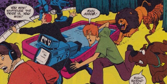 File:Chased onto Fleckman's show.jpg