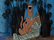 Scooby finds real Ankha