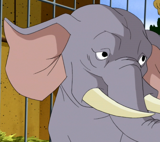 File:Toots.png