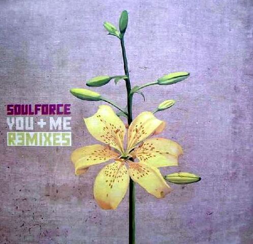 Fájl:Soulforce-you-rmx-12.jpg