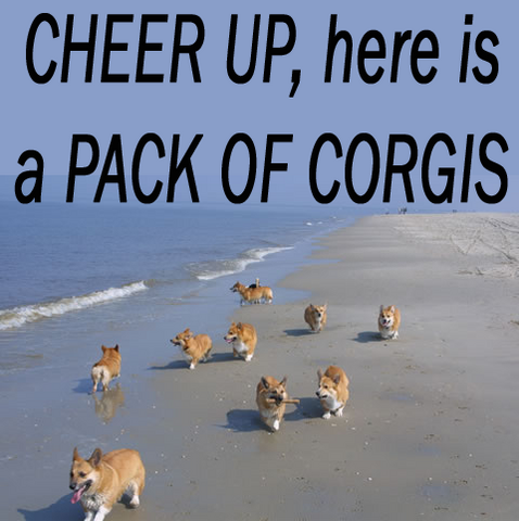 File:13420.png