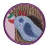 Junior Animal Habitats